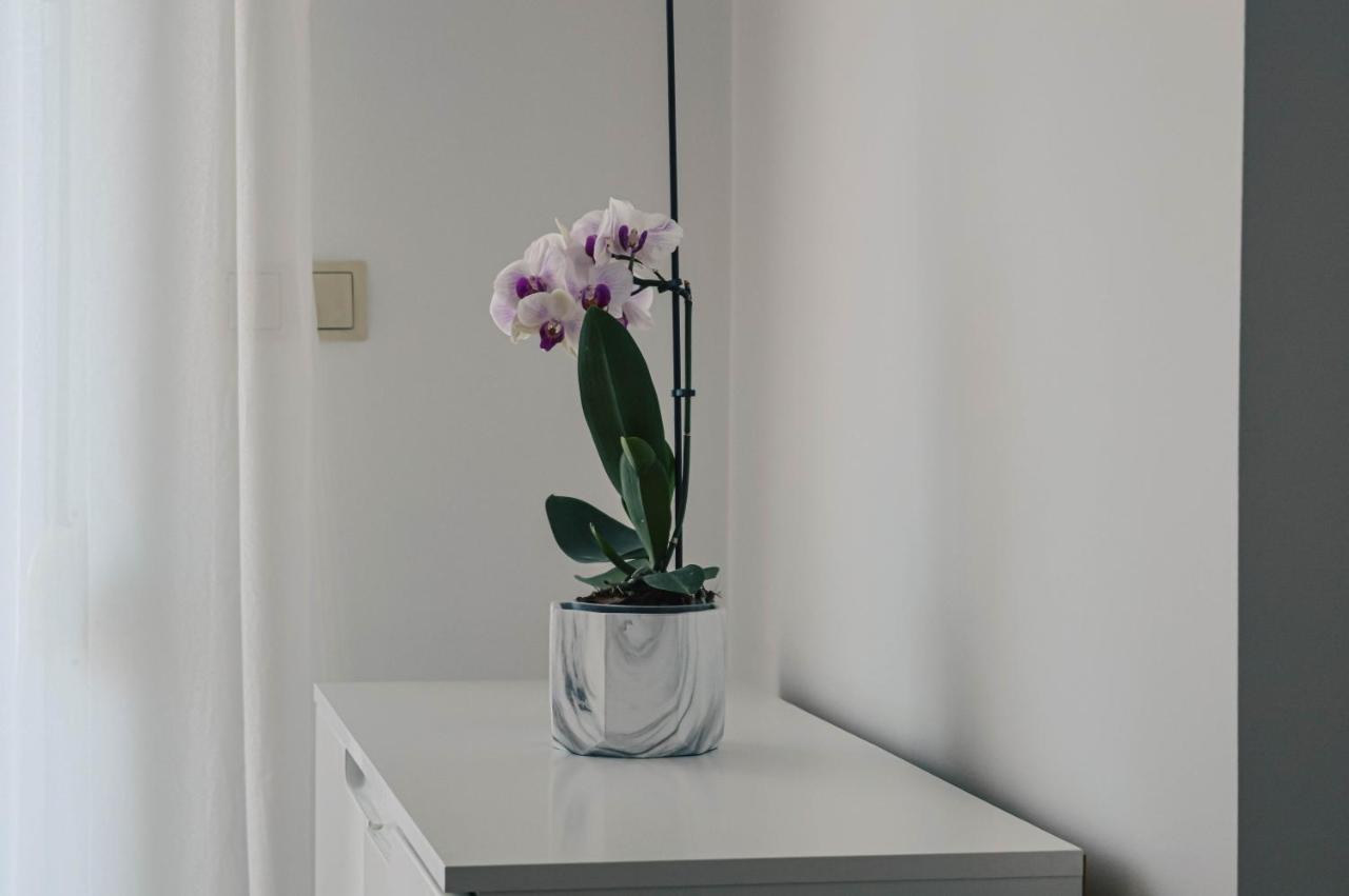 Apartment Valentina Zadar Bagian luar foto